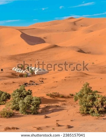 A picture of the Moroccan desert, where there are golden sands