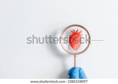 Doctor hand holding magnifying glass focus heartbeat icon on white background for checking the function of the patient heart. medical check up, heart attack, cardiology, help from specialist.