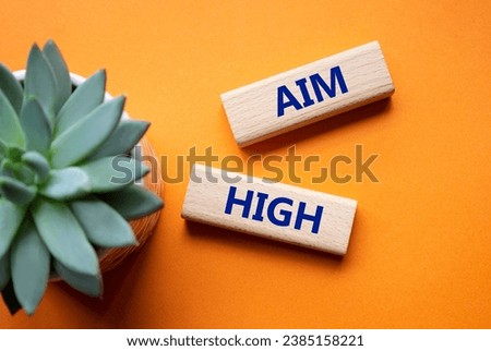 Aim High symbol. Wooden blocks with words Aim High. Beautiful orange background with succulent plant. Business and Aim High concept. Copy space.