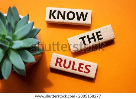 Know the rules symbol. Wooden blocks with words Know the rules. Beautiful orange background with succulent plant. Business and Know the rules concept. Copy space.
