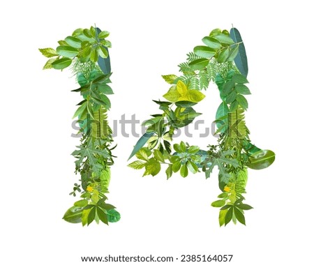 The shape of the number 14 is made of various kinds of leaves isolated on transparent background. suitable for birthday, anniversary and memorial day templates