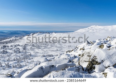Stones and sparse coniferous forest, snowy winter valley in the mountains. Nature landscape at ski resort Sheregesh. High quality photo for desktop wallpaper. 