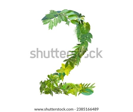 The shape of the number 2 is made of various kinds of leaves isolated on transparent background. suitable for birthday, anniversary and memorial day templates