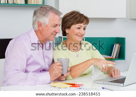 Seniors couple using a laptop computer. Woman pointing at something on the screen