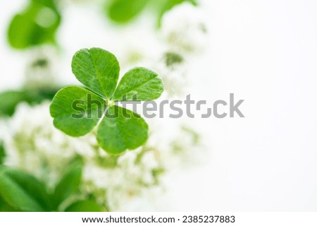 A four-leaf clover set against a vibrant rainbow, symbolizing luck, hope, and the beauty of nature.  Royalty-Free Stock Photo #2385237883