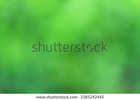 green abstract background. blurred plant leaves, nature bokeh
