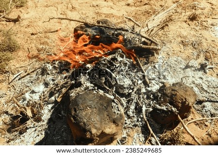 Picture of a wood stove fire for cooking food