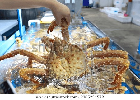 a living king crab very fresh korea Royalty-Free Stock Photo #2385251579