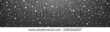 Snow overlay. Snowfall background. Vector illustration.