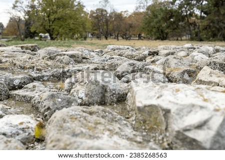Autumn landscape with large rocks in the foreground and trees in the background for publication, poster, calendar, post, screensaver, wallpaper, postcard, banner, cover. High quality photography