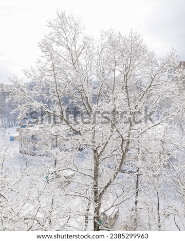 view of snowy city, trees and houses in frosty white snow. climate, winter. New Year and Christmas in city. drifts of white snow and ice. snow removal equipment. winter nature