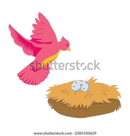 bird with eggs in nest vector isolated
