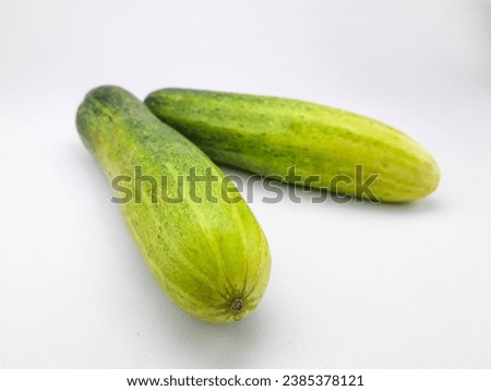 2 cucumbers isolated on a white background, this fruit contains a lot of water so it is very refreshing but tastes bland, can be eaten directly or cooked, often also used as a garnish or facial mask