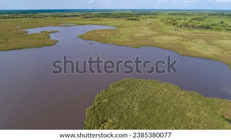Aerial view of typical Pantanal landscape with lagoons, rivers, meadows and forest, Pantanal Wetland