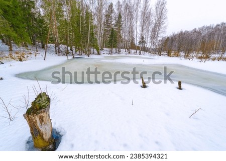 Stunning spring photos capturing the beauty of the river in snow and ice Breathtaking shots of a birch grove. Showcasing the natural wonder of the season