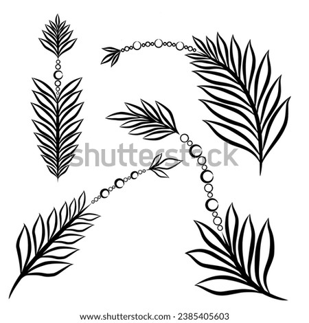 Various Vern leaf illustration vector. set of minimalist element 