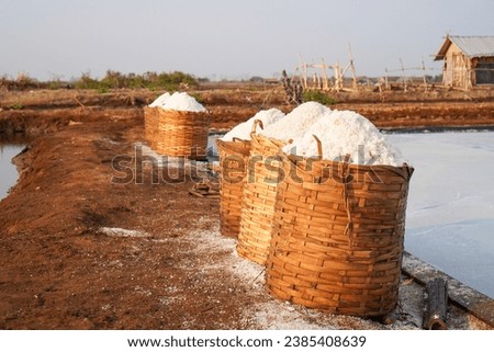 Salt that has just been harvested by farmers is placed in woven bamboo baskets. 