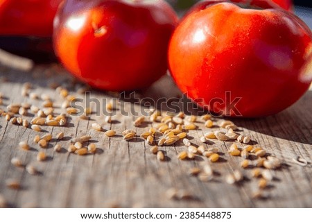 
close-up shot of wheat grains on wooden background and tomatoes in the background