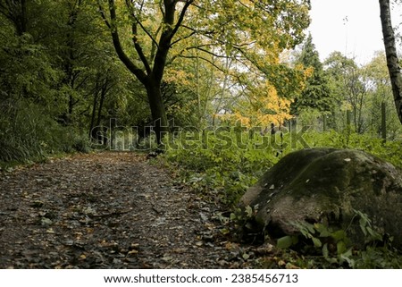 Colorful nature autumn park forest background 