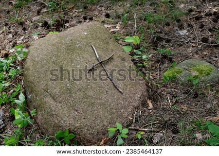 A close up on a set of Catholic crosses and relics made out of wood, stone, pine cones, and planks scattered all over a lush forest and a vast groove spotted during a hike on a Polish countryside