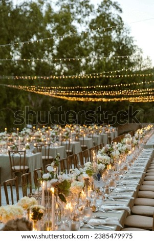 Decorated white wedding table for a festive dinner with pink flowers in brass pots on green lawn under the open sky. Royalty-Free Stock Photo #2385479975