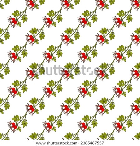 Seamless pattern with Dog rose (Rosa canina), edible and medicinal plant. Vector illustration Royalty-Free Stock Photo #2385487557