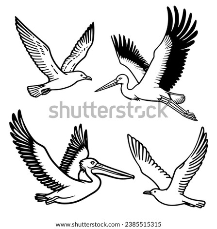 This simple black and white illustration features three shorebirds: a pelican, a stork, and a seagull is shown flying with its large beak open