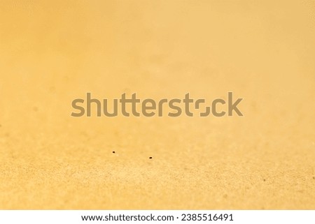 Golden or beige abstract glitter holiday background, paper texture