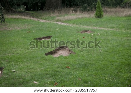 Dinosaure footprint steps on th grass of a garden or