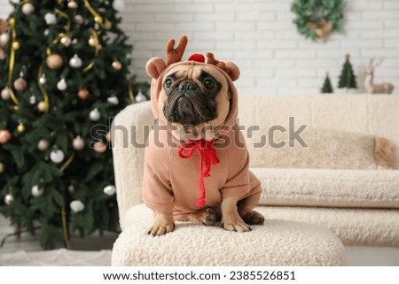Cute dog in reindeer costume at home on Christmas eve