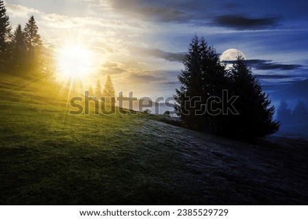 fir trees on hillside meadow with sun and moon at twilight. day and night time change concept. mysterious countryside scenery with forest in fog in morning light