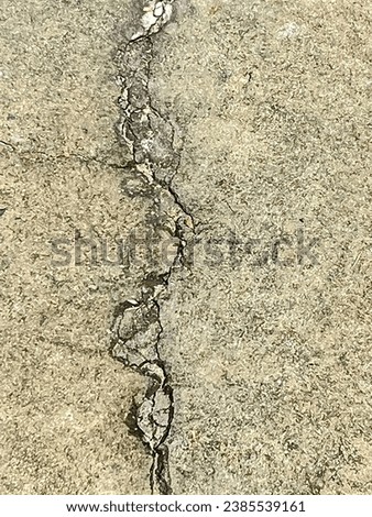 a photography of crack in the sidewalk.
