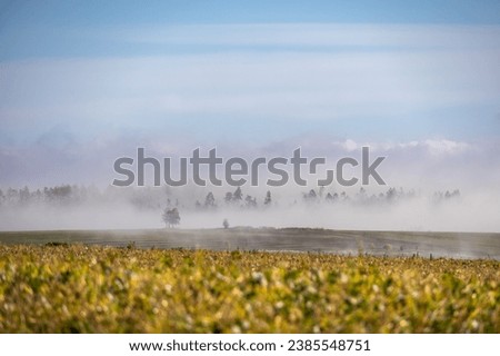 Foggy sunny morning in autumn landscape under blue sky with white clouds - Czech Republic, Europe Royalty-Free Stock Photo #2385548751