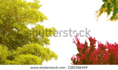 Various colorful leaves on a white background
