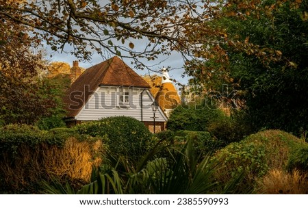 Autumn (fall) scene in England with a tree and bushes in the foreground and houses behind.