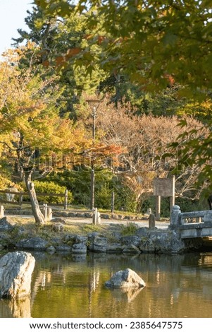 The maple leaves are turning yellow next to the old stone bridge in Japan in autumn.