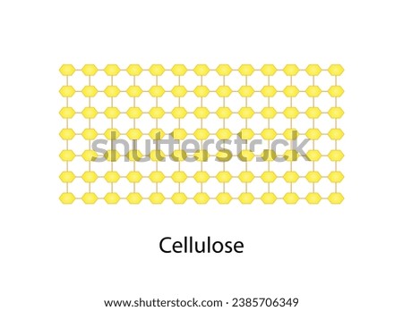 Cellulose structure, polysaccharide. Vector Illustration. Royalty-Free Stock Photo #2385706349