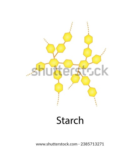 Starch molecule, Polysaccharide. Carbohydrates and Sugars Terminology. Scientific Design. Vector Illustration Royalty-Free Stock Photo #2385713271