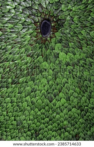 background filled with scales reminiscent of a reptile or dragon skin - handmade - luxury - photography