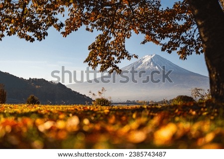 Colorful nature background of autumn forest tree season and Mountain Fuji with morning fog and red leaves at lake Kawaguchiko with blue sky, best landmark places to travel in Japan tourism Royalty-Free Stock Photo #2385743487