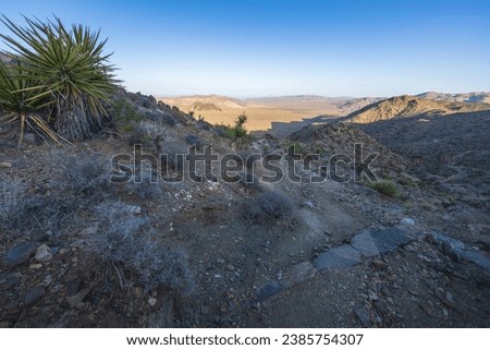 hiking the lost horse mine loop trail in joshua tree national park in california, usa