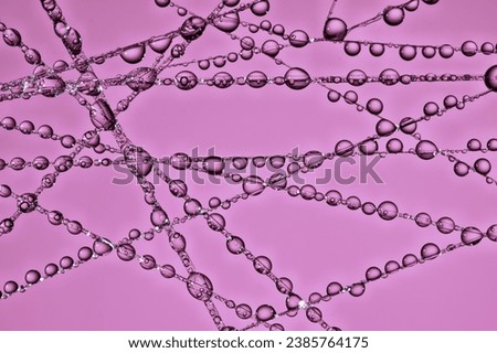 water droplets on a web , colorful abstract background , creative macro photography