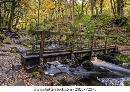 Wooden footbridge over Burbage Brook in the wonderful Padley Gorge near Grindleford, Peak District National Park, Derbyshire Royalty-Free Stock Photo #2385772275