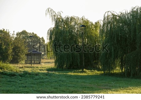 lanterns and a gazebo in an autumn park at dawn with low sun surrounded by trees