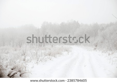 Snow road on mountain Vovchynets