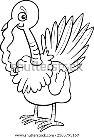 Cartoon illustration of turkey bird farm animal character coloring page