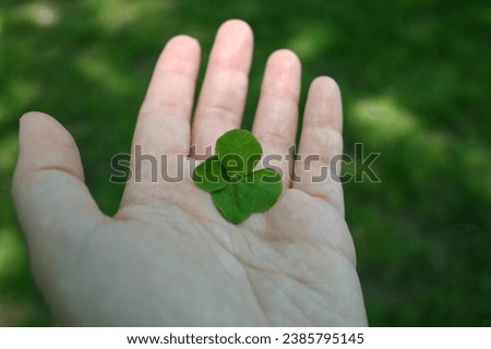 four leaf clover images. These pictures radiate a sense of luck and positivity, making them ideal for greeting cards, wallpapers, and more.