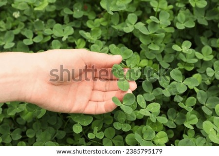 four leaf clover in their natural habitat with our stunning stock images. These images showcase the delicate intricacies and vibrant green colors of this rare and captivating plant.