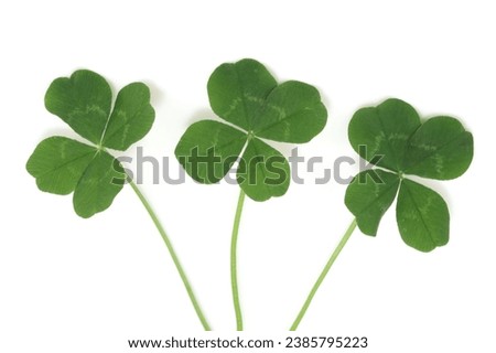 four leaf clover, a symbol of luck and good fortune. Perfect for St. Patrick s Day, Irish culture, and general luck themed projects.