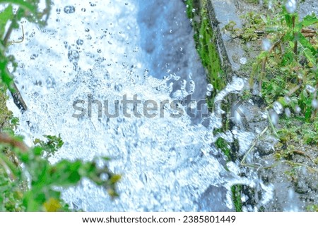 waterfal in the mountains with green leaves